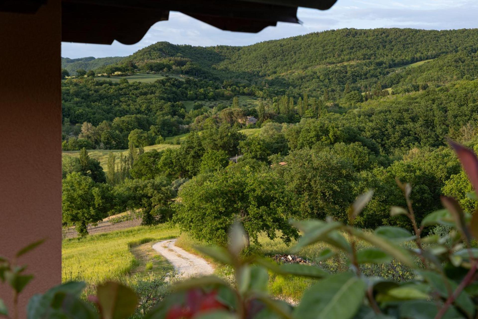Relais Parco Del Subasio Villa Piano Delle Pieve Exterior foto